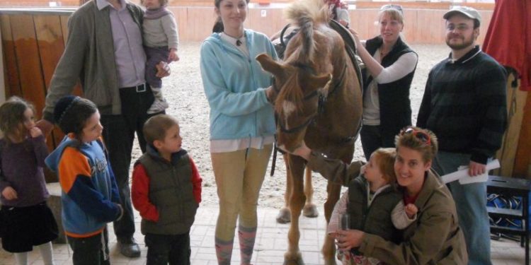 Lovas szakosztály nyílt nap