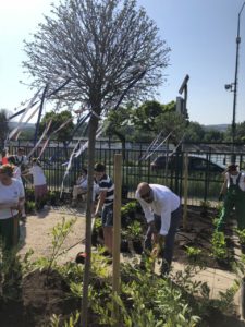 Izrael 70. évfordulóján 35 fát ültettek a Szent István Parkban