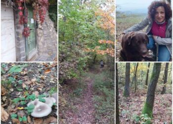 Következő Nordic Walking programunk: November 01, vasárnap 11 órakor