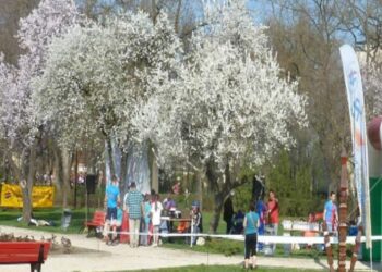 VII. Hagymatikum Kupa Regionális 3 fordulós tájékozódási futóverseny