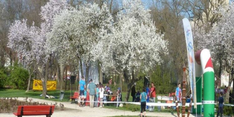 VII. Hagymatikum Kupa Regionális 3 fordulós tájékozódási futóverseny