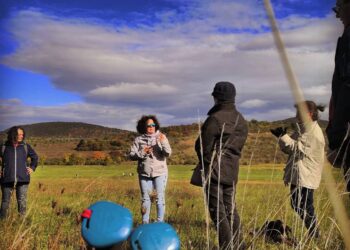 Elindult a Maccabi VAC Nordic Walking program ! Várjuk a jelentkezőket  következő programunkra !
