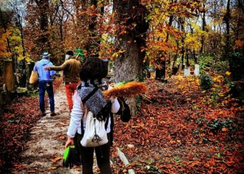 The Maccabi VAC volunteer team participated in the international Mitzvah Day program!