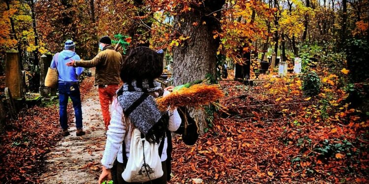 A Maccabi VAC önkéntes csapata részt vett a nemzetközi Mitzvah Day programon!