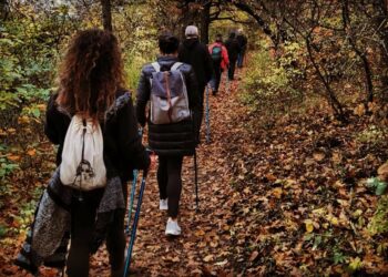 Nord Walking report in October