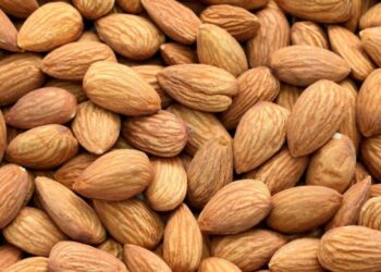 A different Tu BiShvat