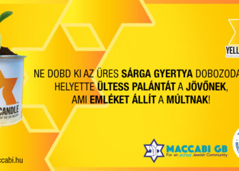 Yellow Candle – Ültess palántát!