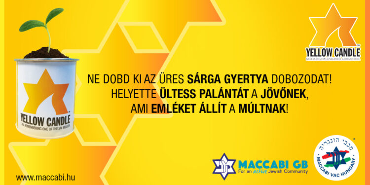 Yellow Candle – Ültess palántát!