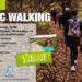 Nordic Walking november 13-án!