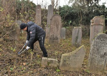 Megtisztítottuk a Móri Zsidó Temetőt
