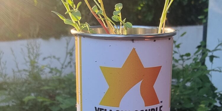 A sárga gyertya tovább él!